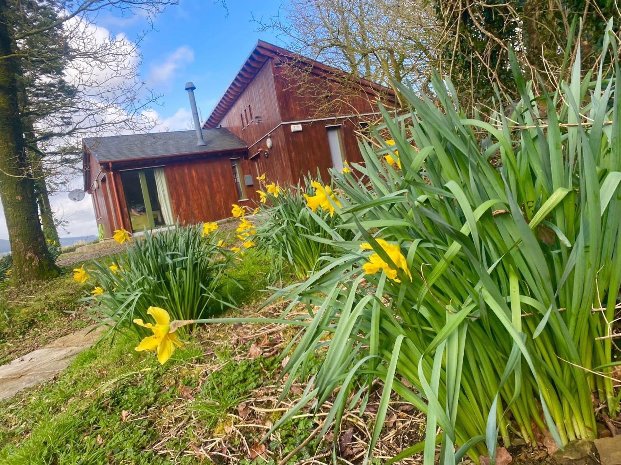Ballyhoura Mountain Lodges Ballyorgan Ngoại thất bức ảnh