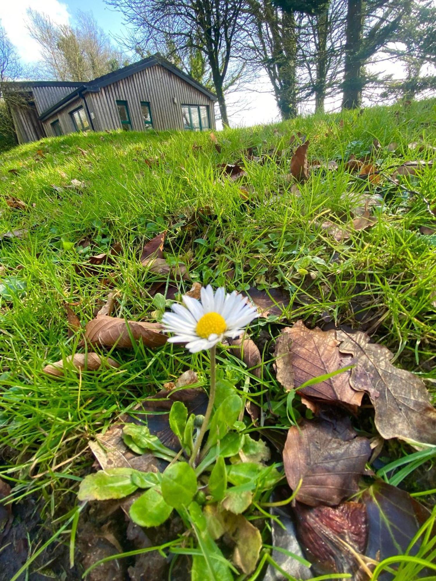 Ballyhoura Mountain Lodges Ballyorgan Ngoại thất bức ảnh