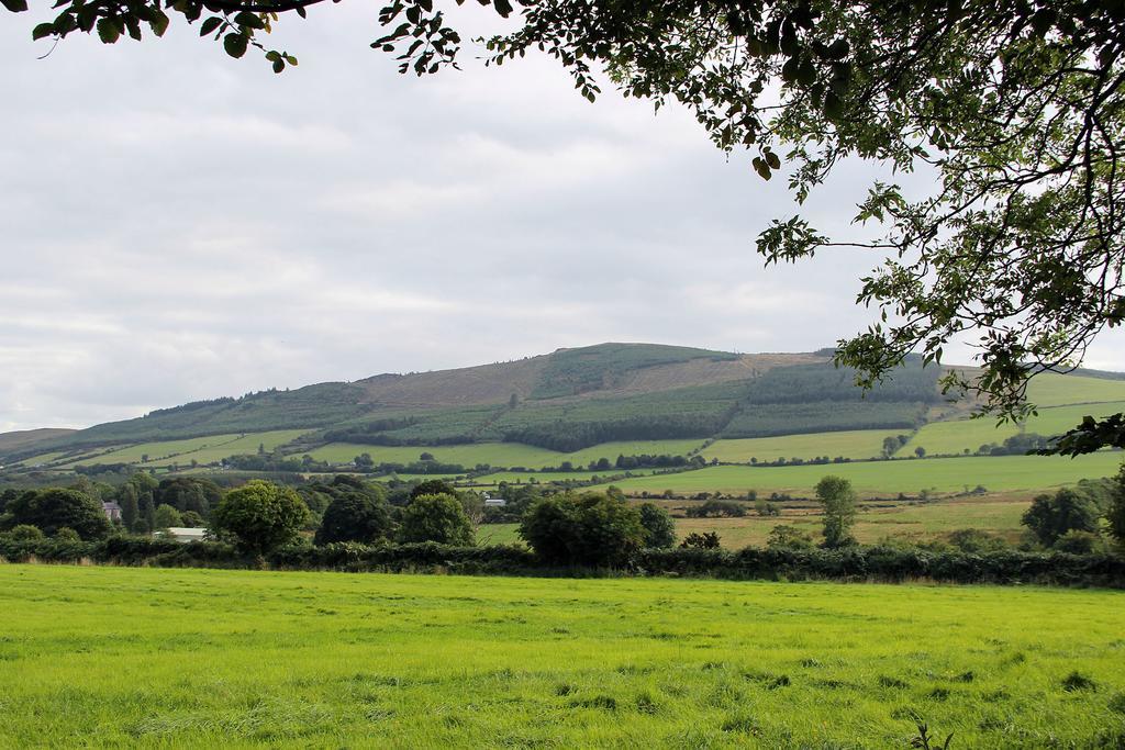 Ballyhoura Mountain Lodges Ballyorgan Phòng bức ảnh