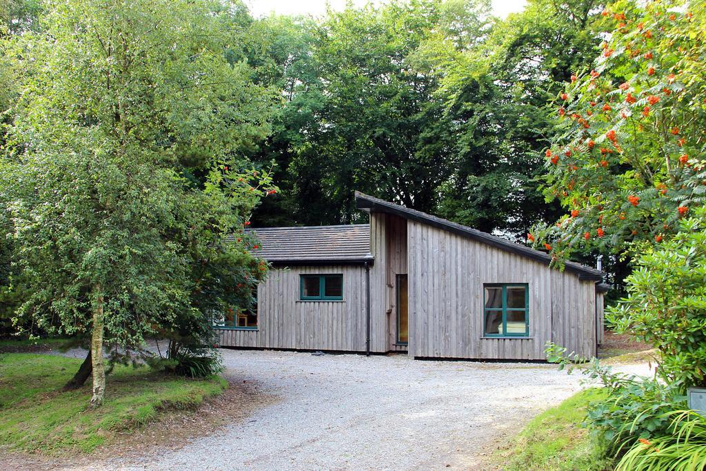 Ballyhoura Mountain Lodges Ballyorgan Phòng bức ảnh