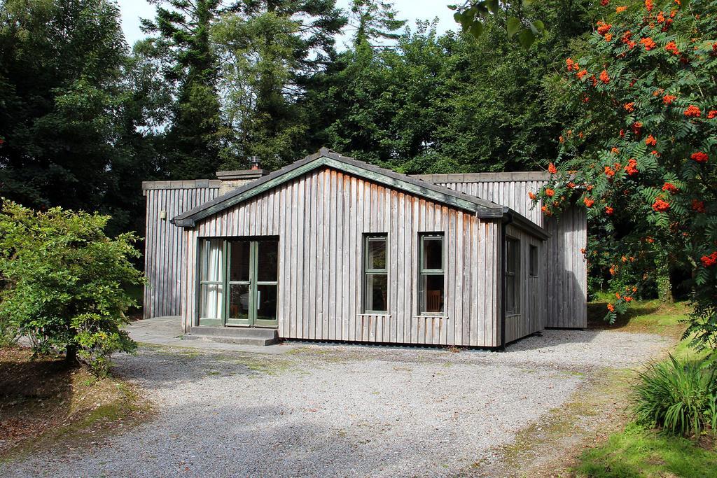 Ballyhoura Mountain Lodges Ballyorgan Phòng bức ảnh